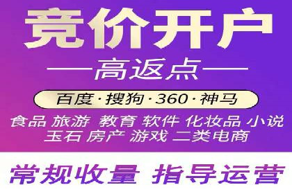 百度广告投放策略优化的经典案例